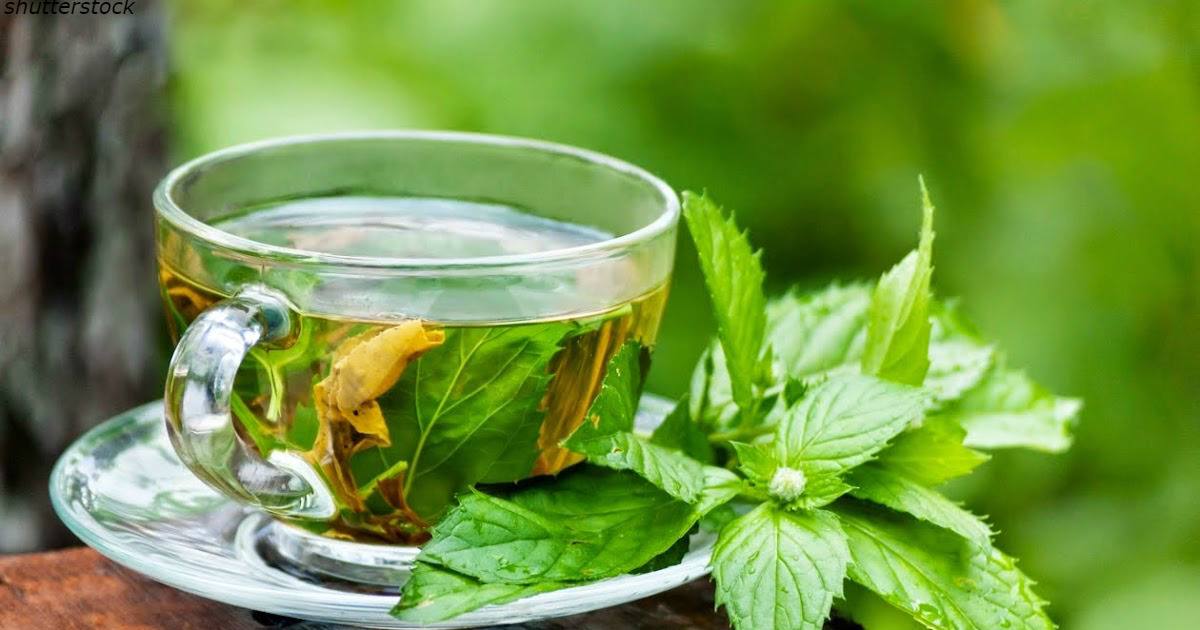 Herbata miętowa pomaga obniżyć ciśnienie krwi!