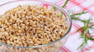 Jęczmień perłowy zawiera niezbędną lizynę!